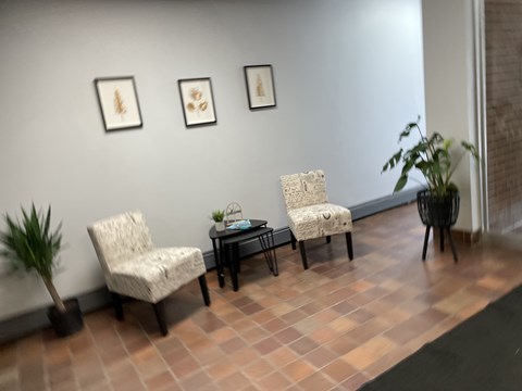 A room with three chairs and a table with a plant on it.