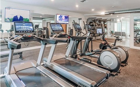 a row of treadmills and other exercise equipment in a gym