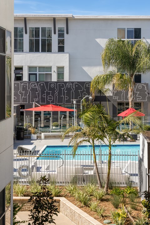 A pool surrounded by palm trees and red umbrellas.