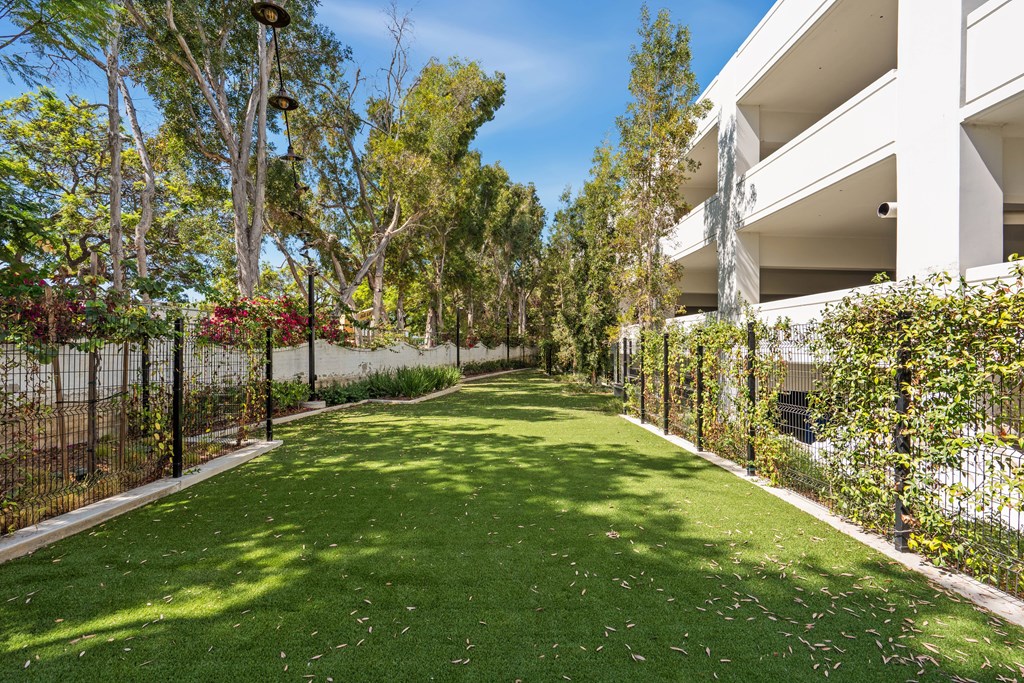 A green lawn in front of a white building with trees and a fence.