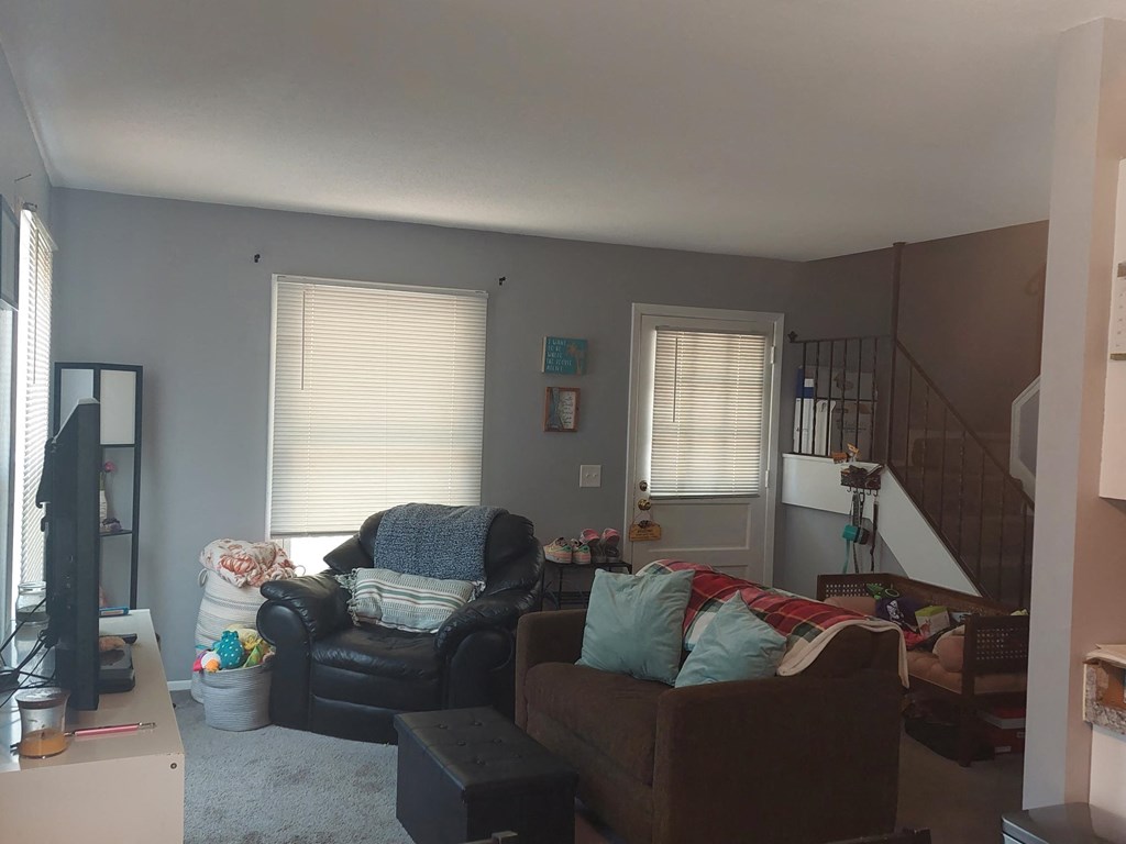 a living room with two couches and a tv