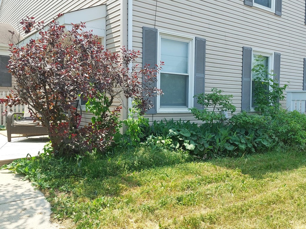 this is a picture of the side of a house with a yard full of weeds and bushes
