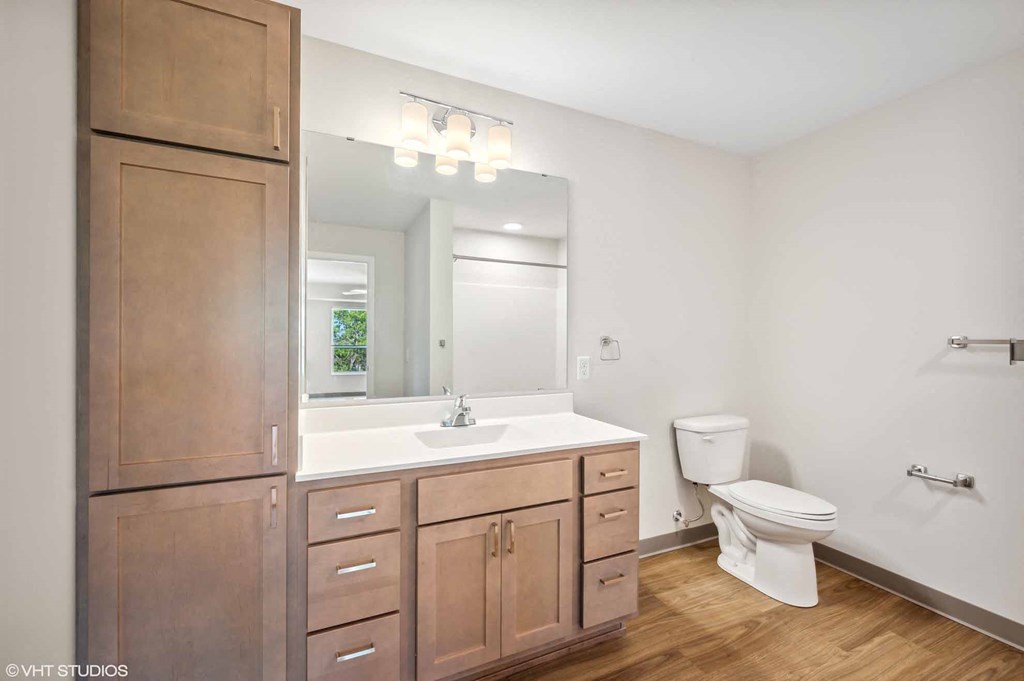 a bathroom with a sink and a toilet and a mirror