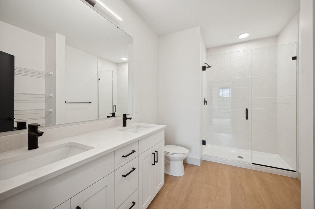 a bathroom with a sink and a toilet and a shower