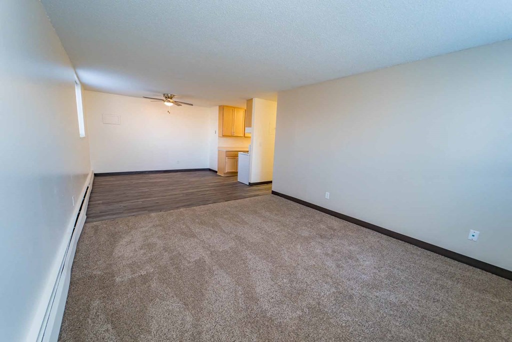 A room with a carpeted floor and a ceiling fan.