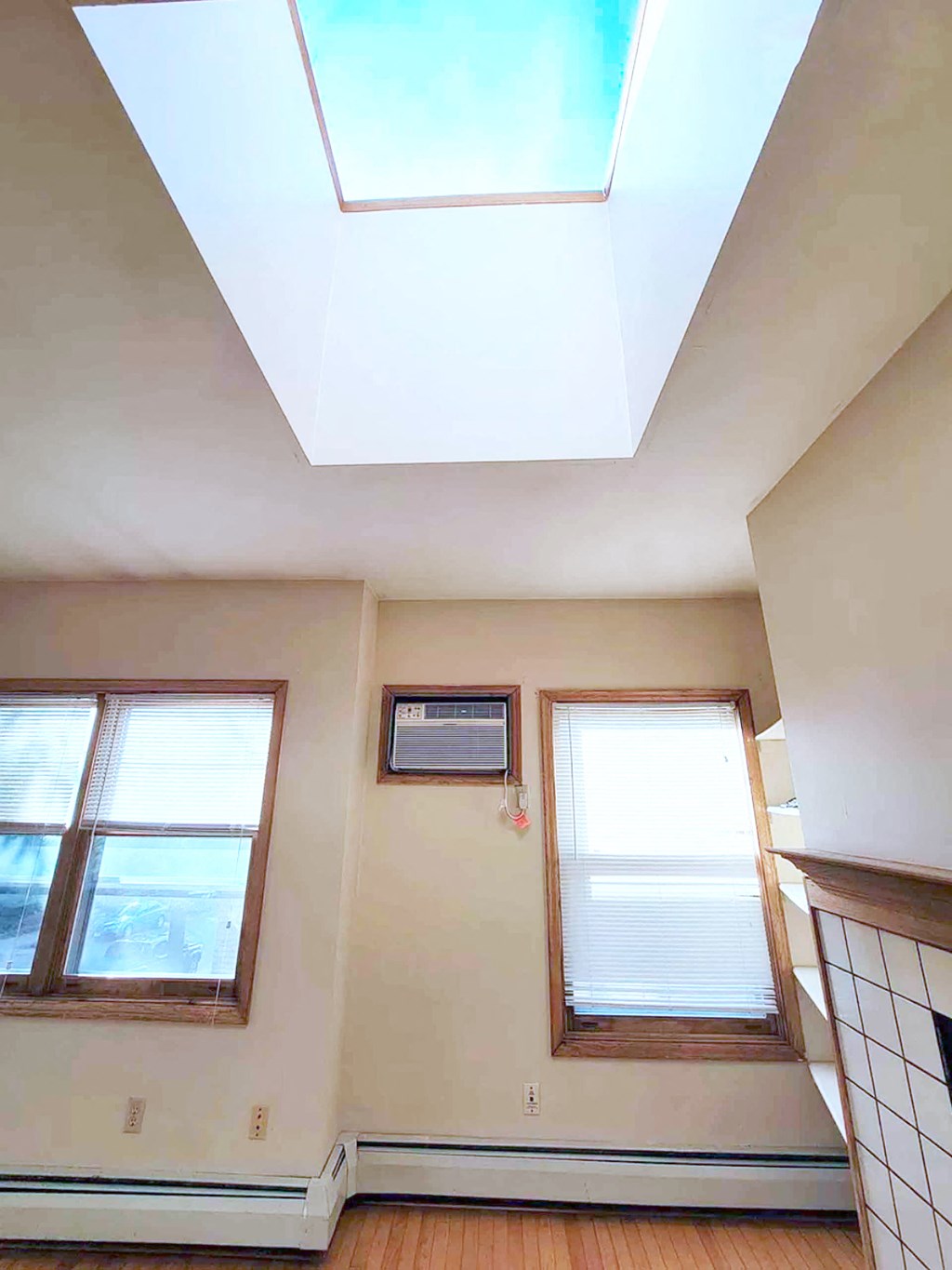 Emerson Manor Skylight