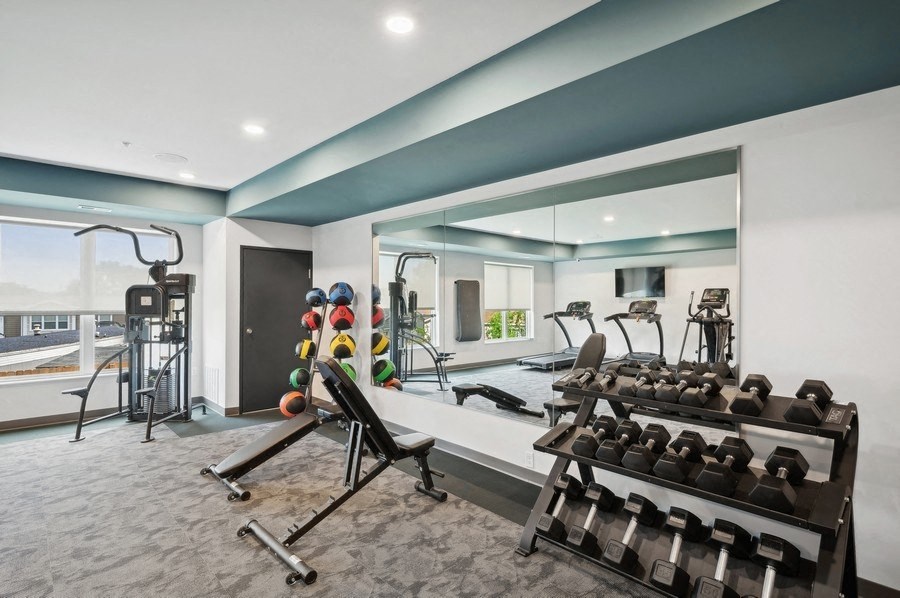 the gym is equipped with weights and dumbbells and mirrors