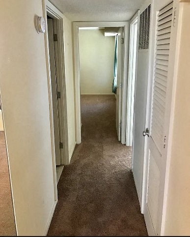 a hallway with white walls and a brown carpet