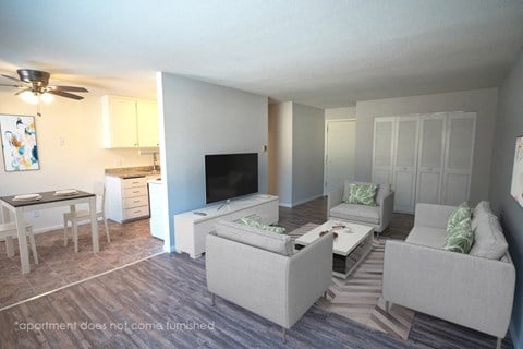 an open living room and kitchen with couches and a tv