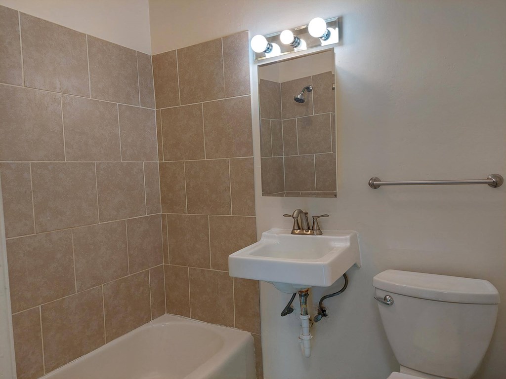 a bathroom with a sink and a toilet and a mirror