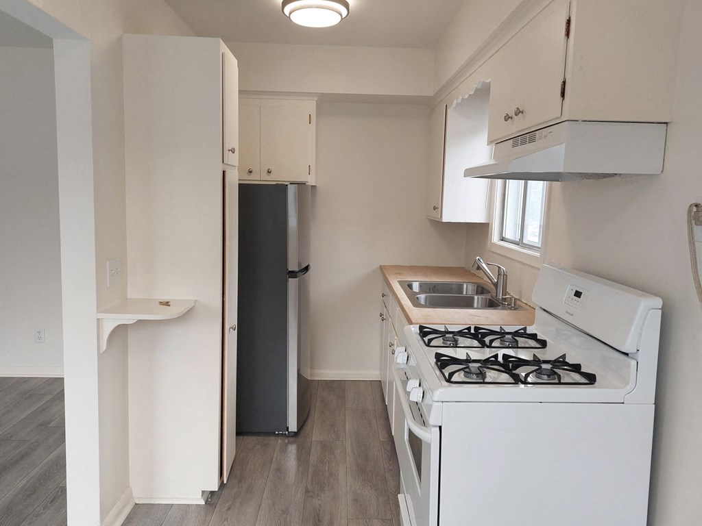 a kitchen with a stove and a sink and a refrigerator