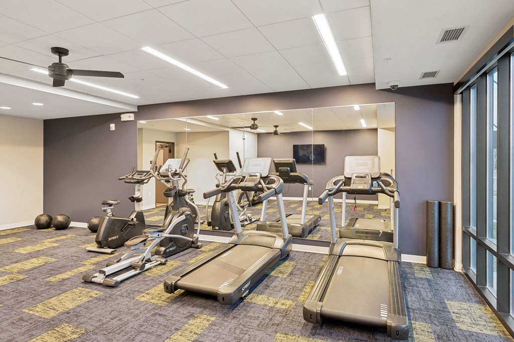 Wangstad Commons, Brooklyn Center,  A gym with treadmills, elliptical machines, and exercise balls.