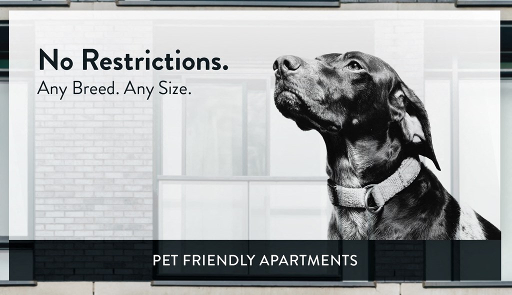 The Reeve Lakeside Pet Friendly