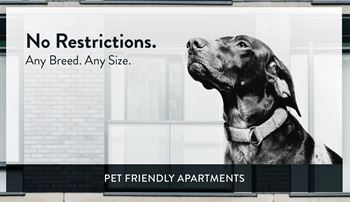 The Hollows Pet Friendly, St. Paul, Minnesota