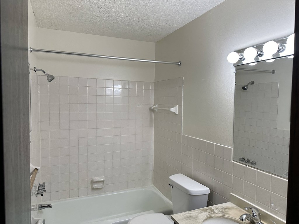 a bathroom with a tub and a sink and a toilet