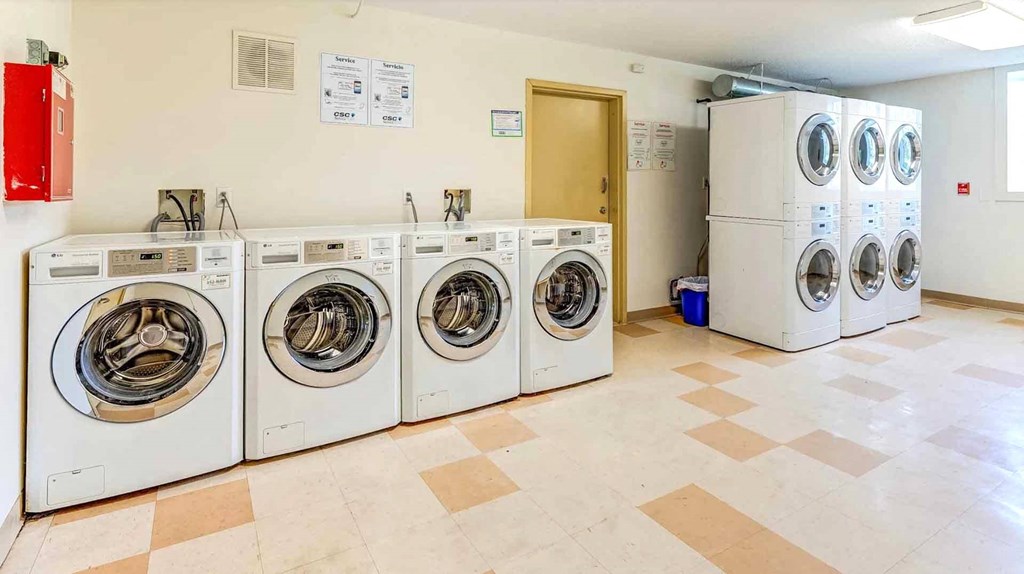 A row of washing machines in a laundry room.