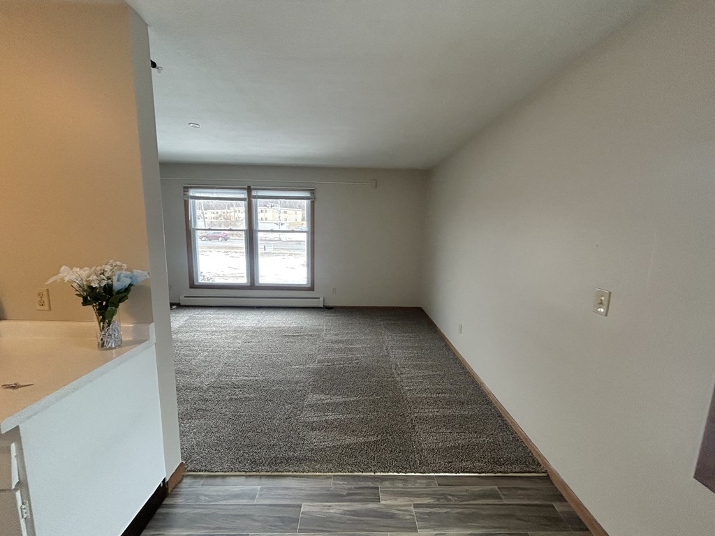 Marjon Terrace St. Paul, Minnesota Living Room