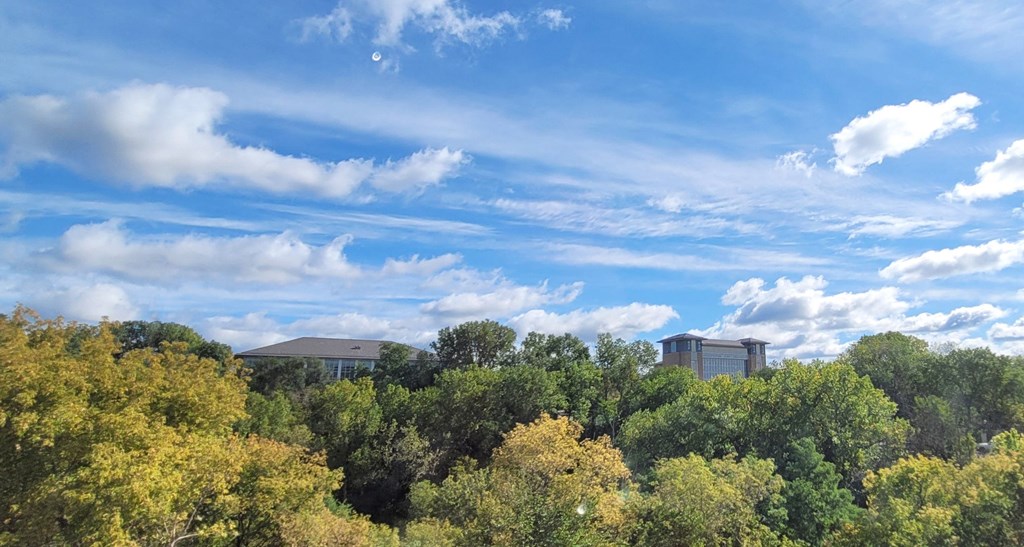 The Hollows Metro State, St. Paul, Minnesota