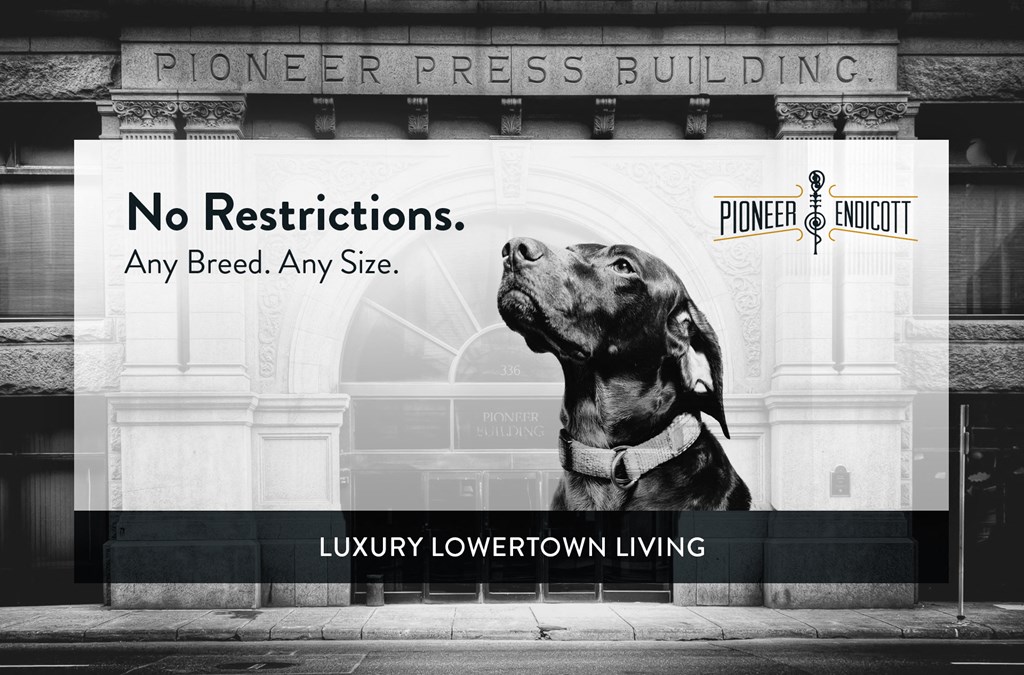 Pioneer Apartments, St Paul - PET FRIENDLY!