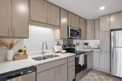 A modern kitchen with a black dishwasher and stove top.
