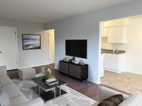 como court virtual stage, Minneapolis, Minnesota