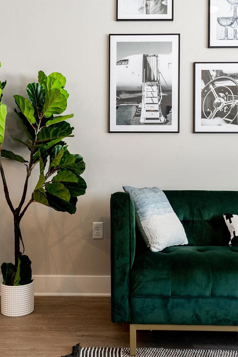 a living room with a green couch and a plant