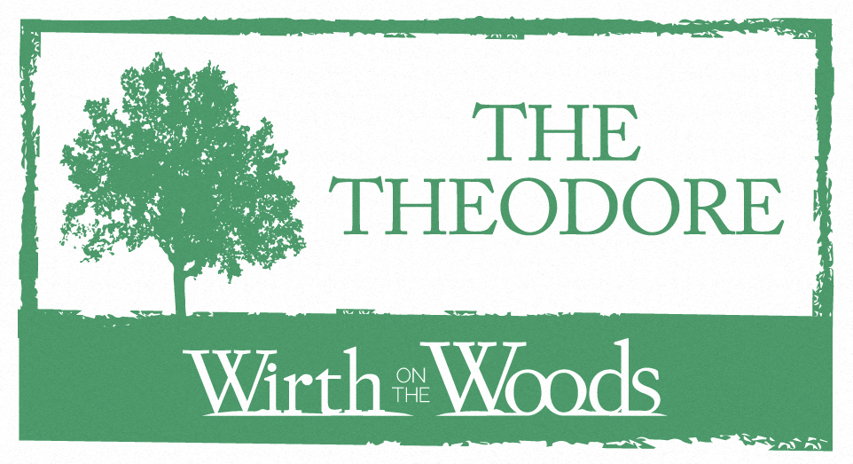 The Theodore Apartments, Minneapolis, Minnesota