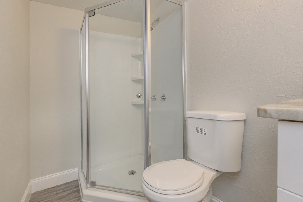 a bathroom with a toilet and a shower