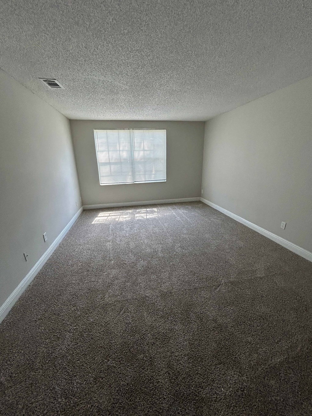 A room with a carpeted floor and a window letting in sunlight.