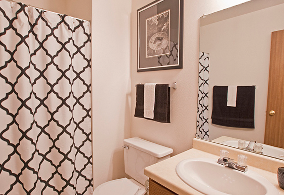 a bathroom with a sink and a toilet and a mirror