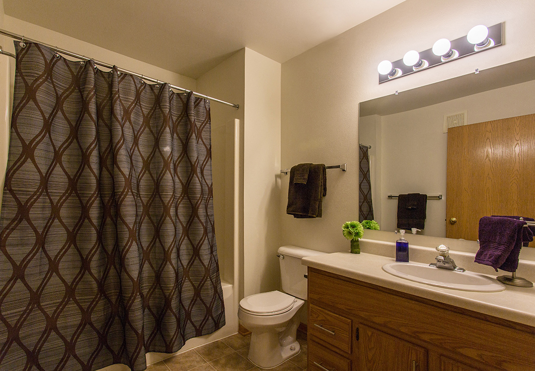 a bathroom with a shower toilet sink and a mirror