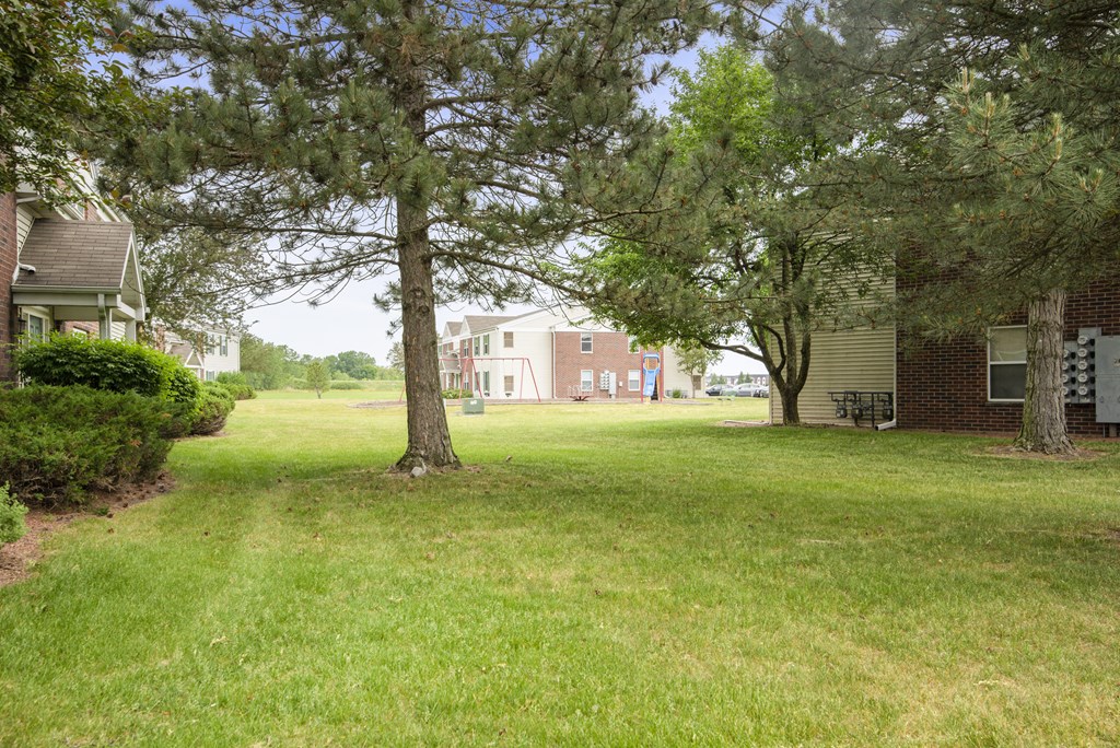 the yard in front of our apartments