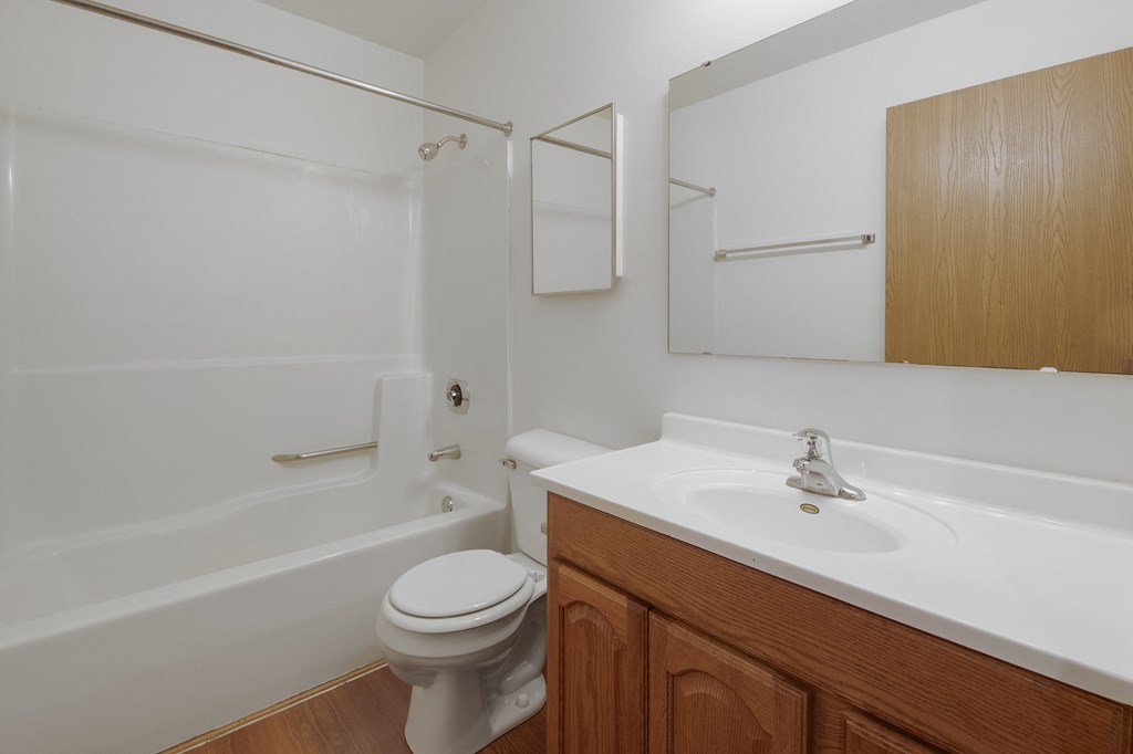 a bathroom with a sink and a toilet and a bath tub
