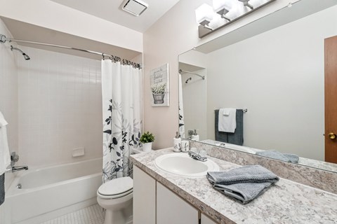Posh bathroom in 1 bedroom apartment  in Clinton Township