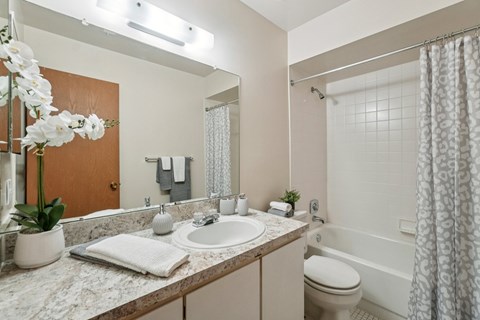 Posh bathroom in 1 bedroom apartment  in Clinton Township