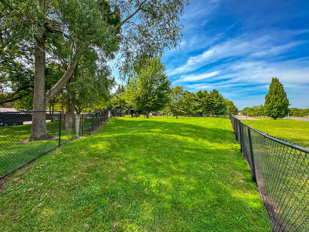 Rover Hills dog park in Kalamazoo