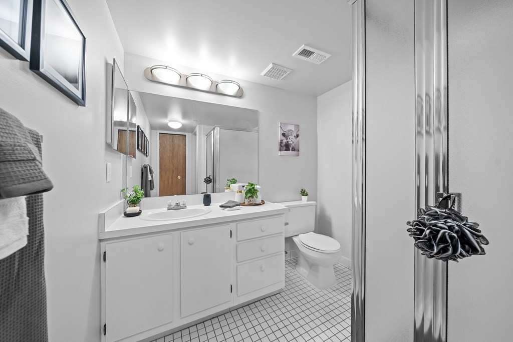 Posh bathroom at Dover Hills Apartments in Kalamazoo