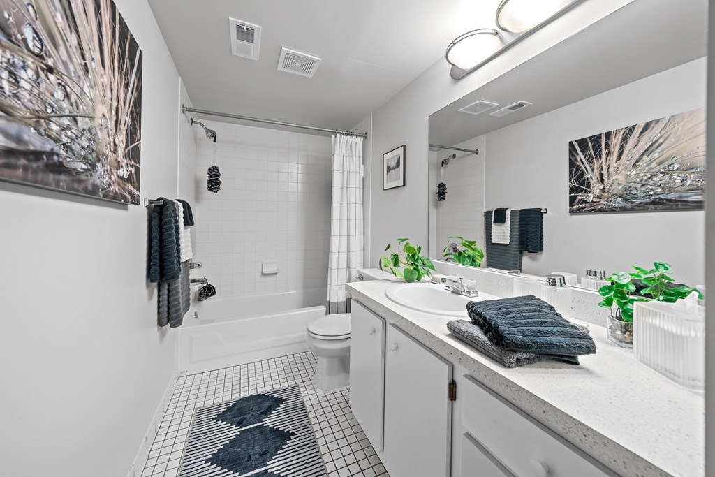 Posh bathroom at Dover Hills Apartments in Kalamazoo