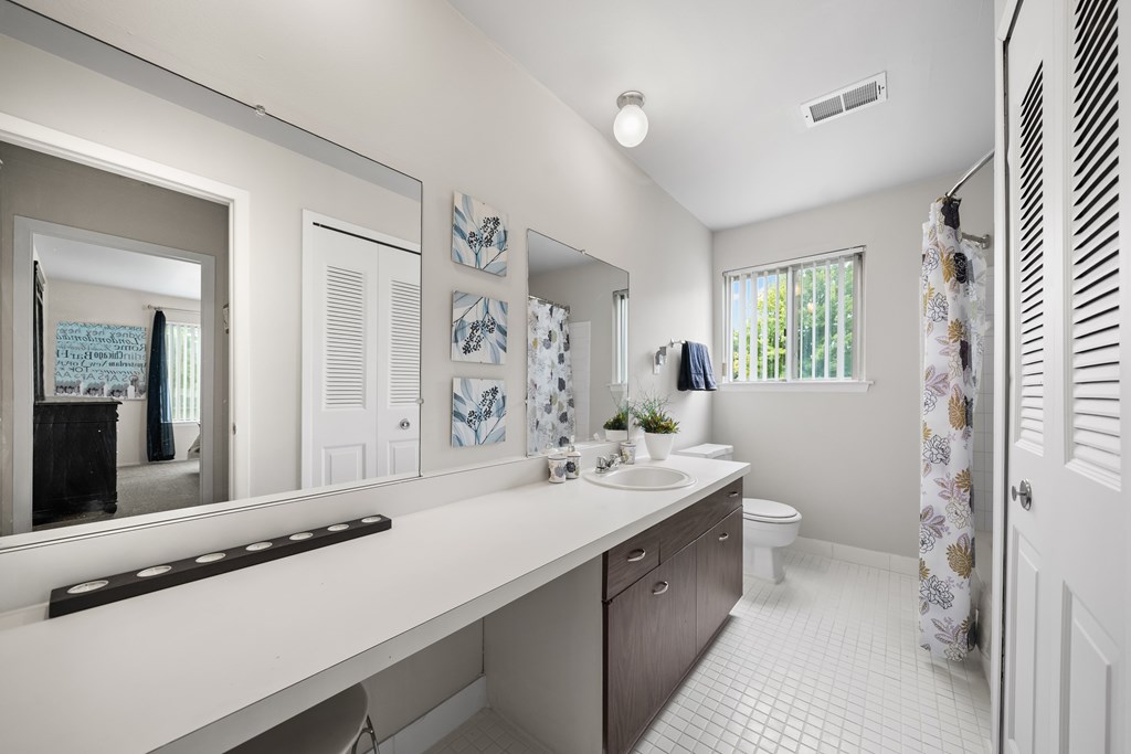 Elevated bathroom with ample storage space at Knottingham Apartments in Clinton Township, MI.