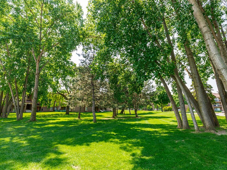 Green Spaces With Mature Trees at Lakeside Village Apartments, Clinton Township MI