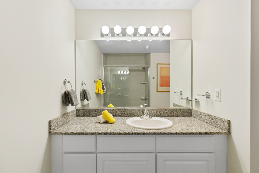Model Bathroom Model Bathroom at Lofts of Merchants Row, Detroit, MI, 48226
