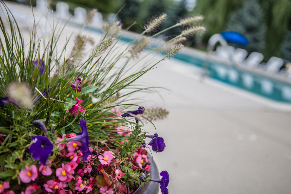 Flowerpot by Pool at Prentiss Pointe Apartments, MI