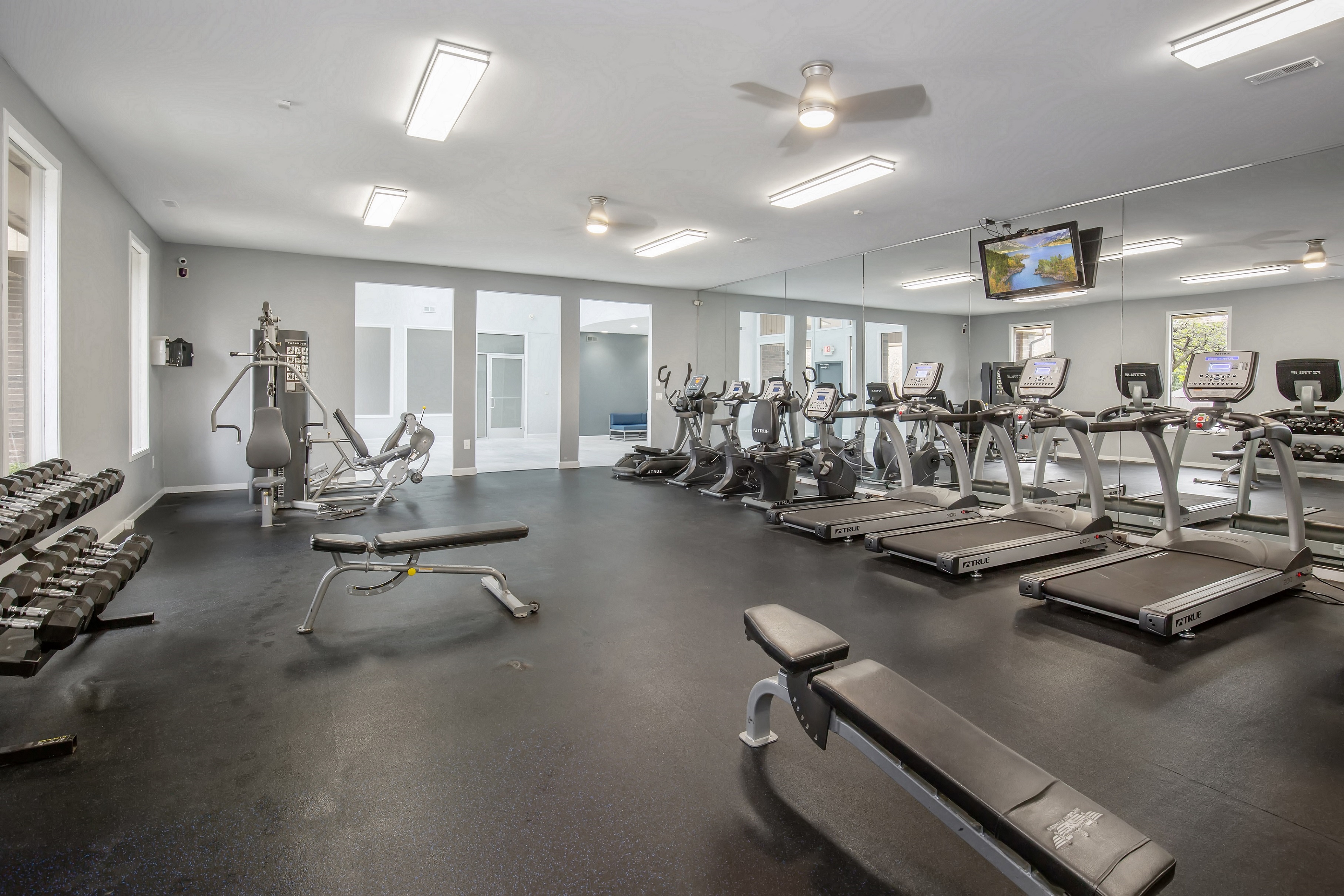 Cardio and Weights Room Lakeside Village Apartments Clinton Township Michigan, 48038