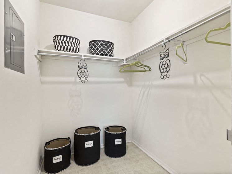 Front Walk In Closet at Franklin River Apartments, Michigan