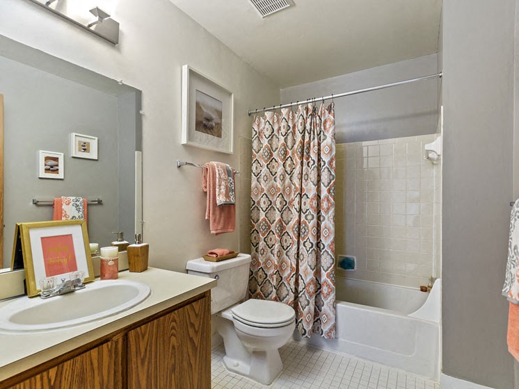 Bathroom at Woodland Willa Apartments in Westland, MI