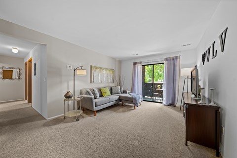 A living room with a grey couch and a television.