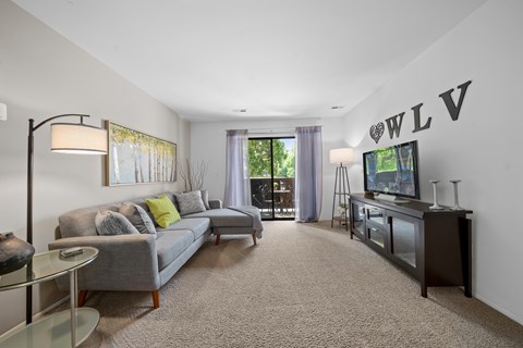 A living room with a grey couch and a television.