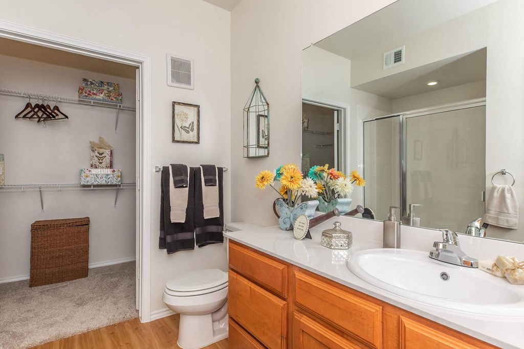 Luxurious Bathroom at Mariposa at Clear Creek Webster 55+ Apartments, Texas, 77598