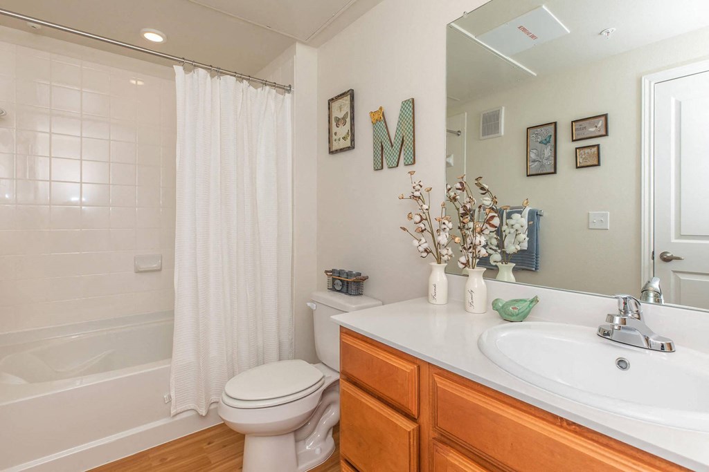 Bathroom With Bathtub at Mariposa at Clear Creek Webster 55+ Apartments, Texas