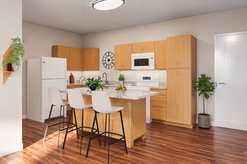 Dominium_Avery Landing_Kitchen Rendering
